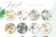 Tropical mix. 24 patterns, a Pattern Graphic by OJardin (Thumbnail 2 of 4)