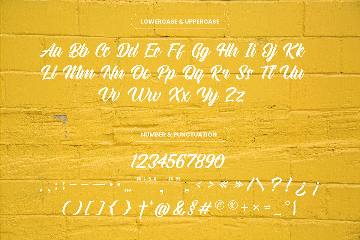 Straight Ahead Modern Script Font, a Script Font by Ronny Studio (Photo 9 of 11)