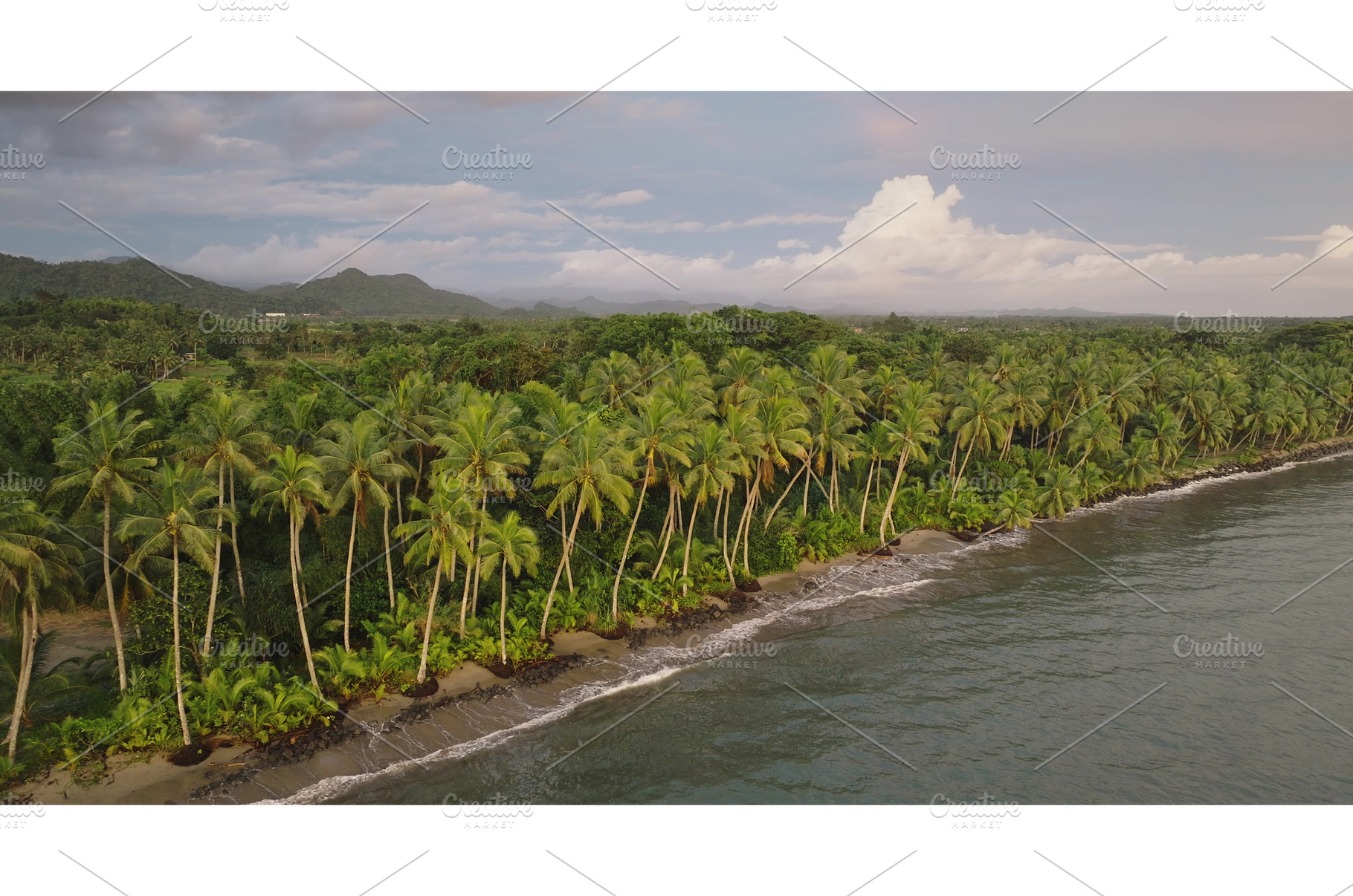 Tropical beach with palm trees, a Nature Photo by Goinyk