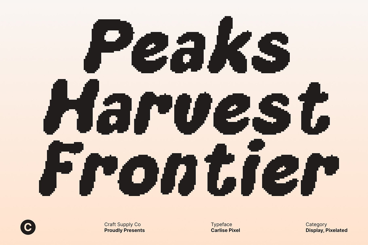 Carlise Pixel, a Sans Serif Font by Craft Supply Co. (Photo 2 of 8)