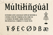 Stylish Serif - Patcher, a Serif Font by Say Studio (Thumbnail 10 of 12)