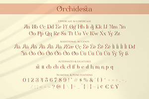 Orchidesta - Display Serif