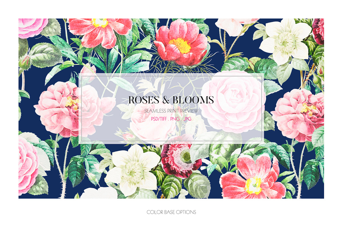 Roses & Blooms, a Pattern Graphic by TSTUDIO (Photo 8 of 9)