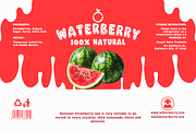Watermelon Splash - SVG Font, a Handwritten Font by Wellscript Studio (Thumbnail 4 of 16)