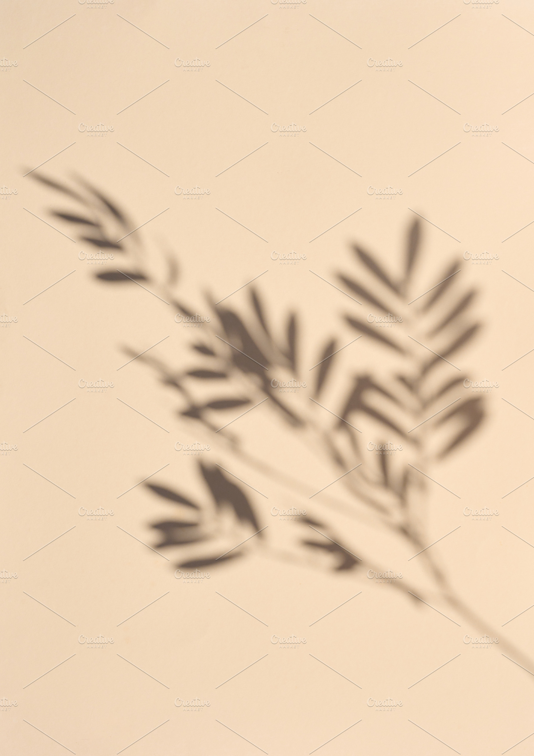 Gray blurred shadow of a branch on a beige background, an Abstract Photo by ndanko