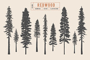Woodland Tree Set | Illustrations, an Illustration by Max Lockwood (Thumbnail 5 of 6)