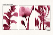 Botanical Traces: Blurred Floral PNG, an Object Graphic by Dina Mae (Thumbnail 11 of 14)