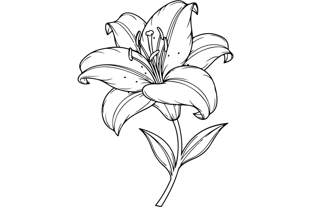 Vintage Botanical Flower Vector Set, an Object Illustration by Designer_Momina (Photo 8 of 26)