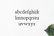 Maddex Serif 3 Font Family, a Serif Font by Creativetacos (Thumbnail 3 of 4)