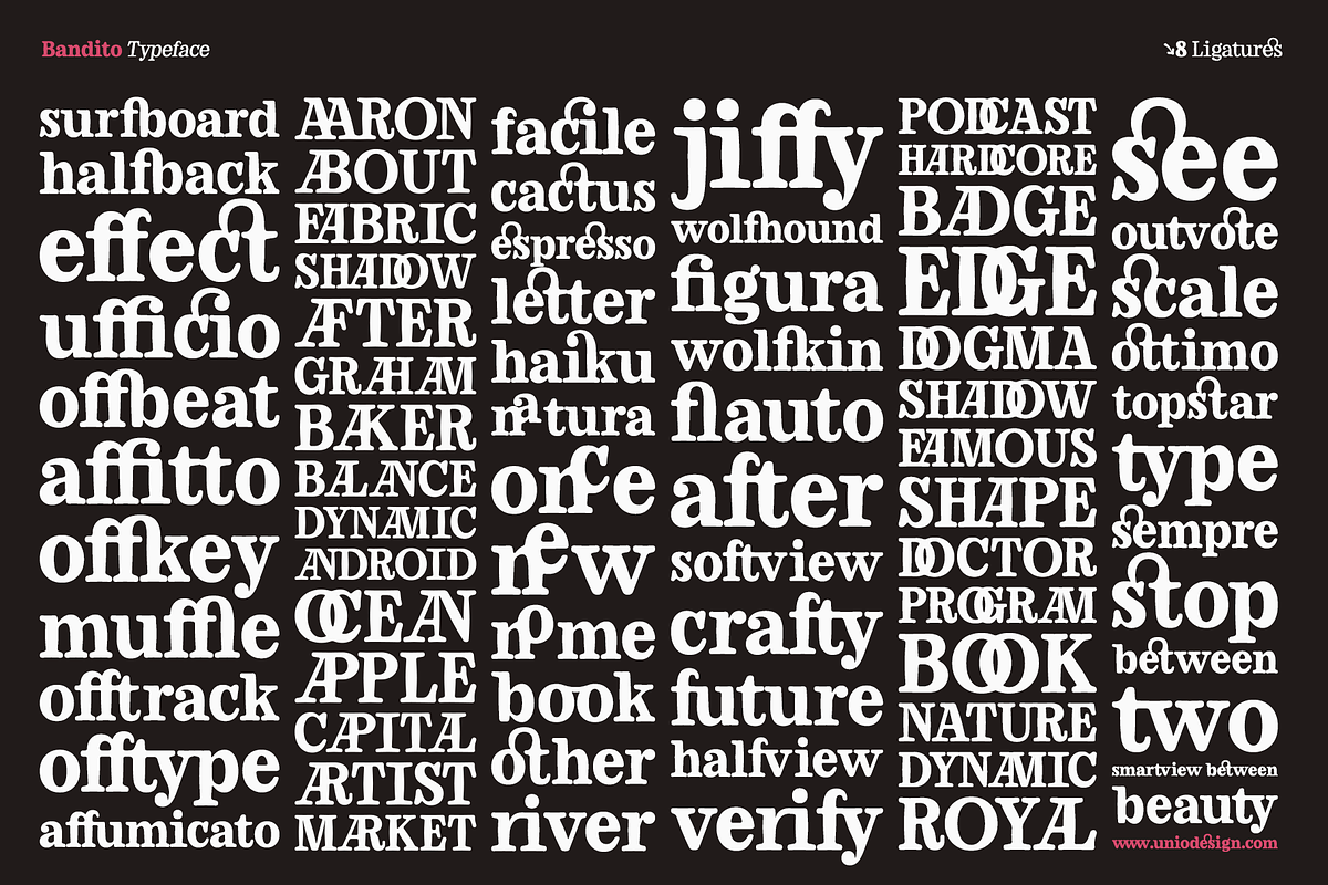 Bandito - Rounded Variable Serif, a Serif Font by Unio Designs (Photo 8 of 15)