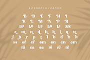 Molendra - Display Serif Typeface, a Serif Font by Artchitype Studio (Thumbnail 16 of 17)
