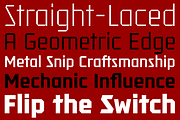 Tradesman Family, a Sans Serif Font by GRYPE (Thumbnail 2 of 3)