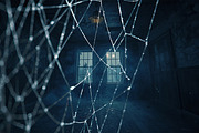 Spider Web Overlay Bundle, a Background Photo by M9 Design (Thumbnail 6 of 10)