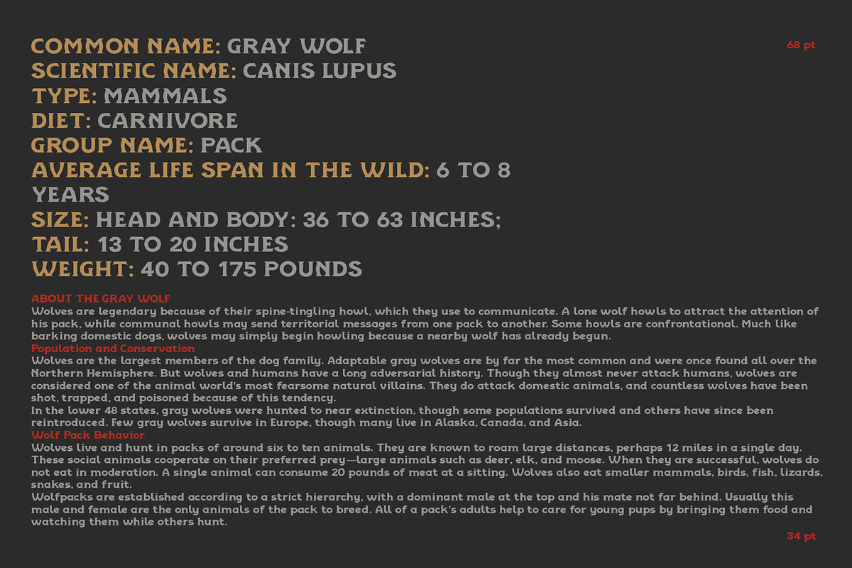ICARUS - Serif font family, a Serif Font by Artistic & Unique (Photo 10 of 15)