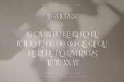 Brown Casalova | Stylish Typeface, a Serif Font by Pentagonistudio (Thumbnail 9 of 10)