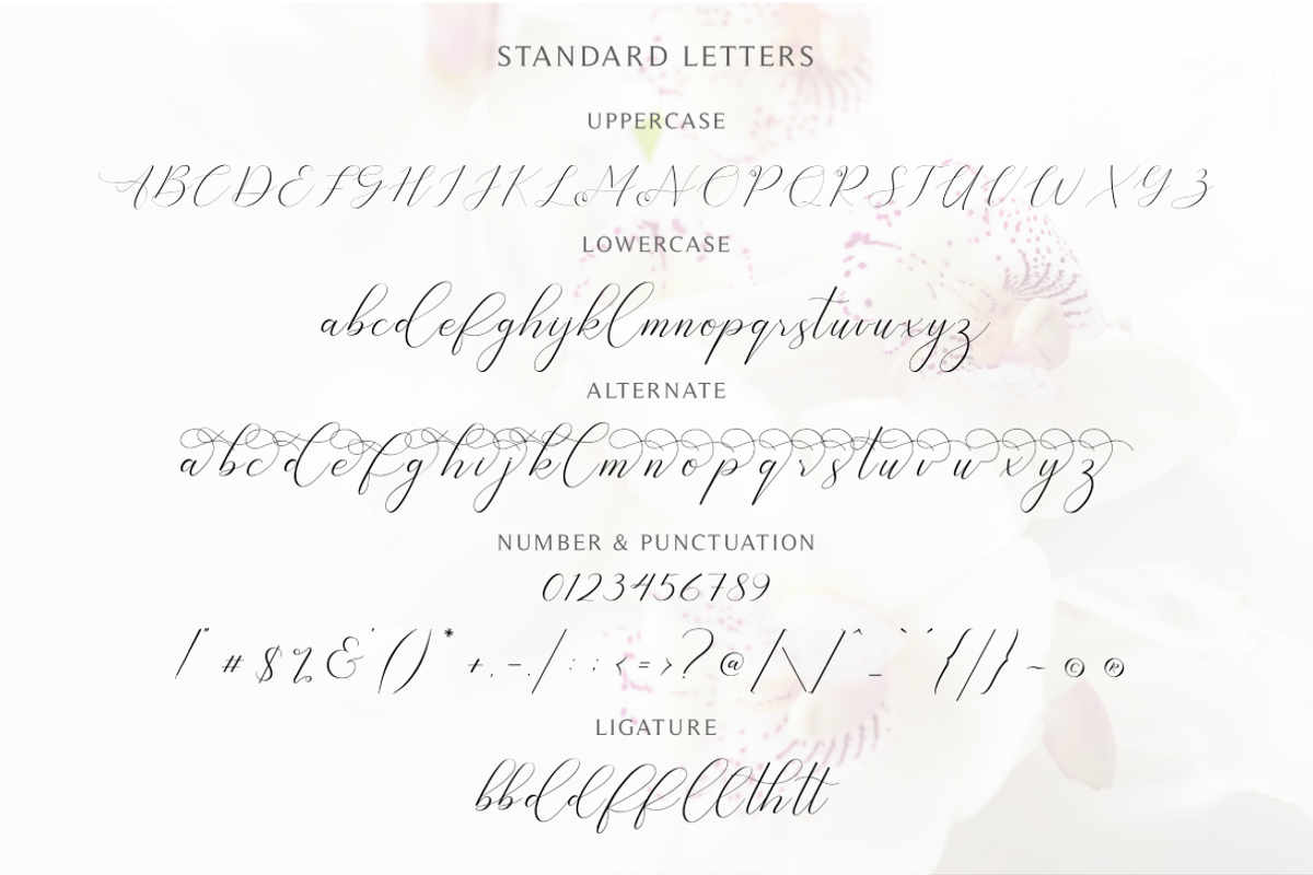 Bathey Calligraphy Font, a Script Font by Pen Culture