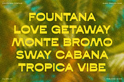 Kaligra Tropicana Sans, a Sans Serif Font by Kaligra.co (Thumbnail 11 of 22)