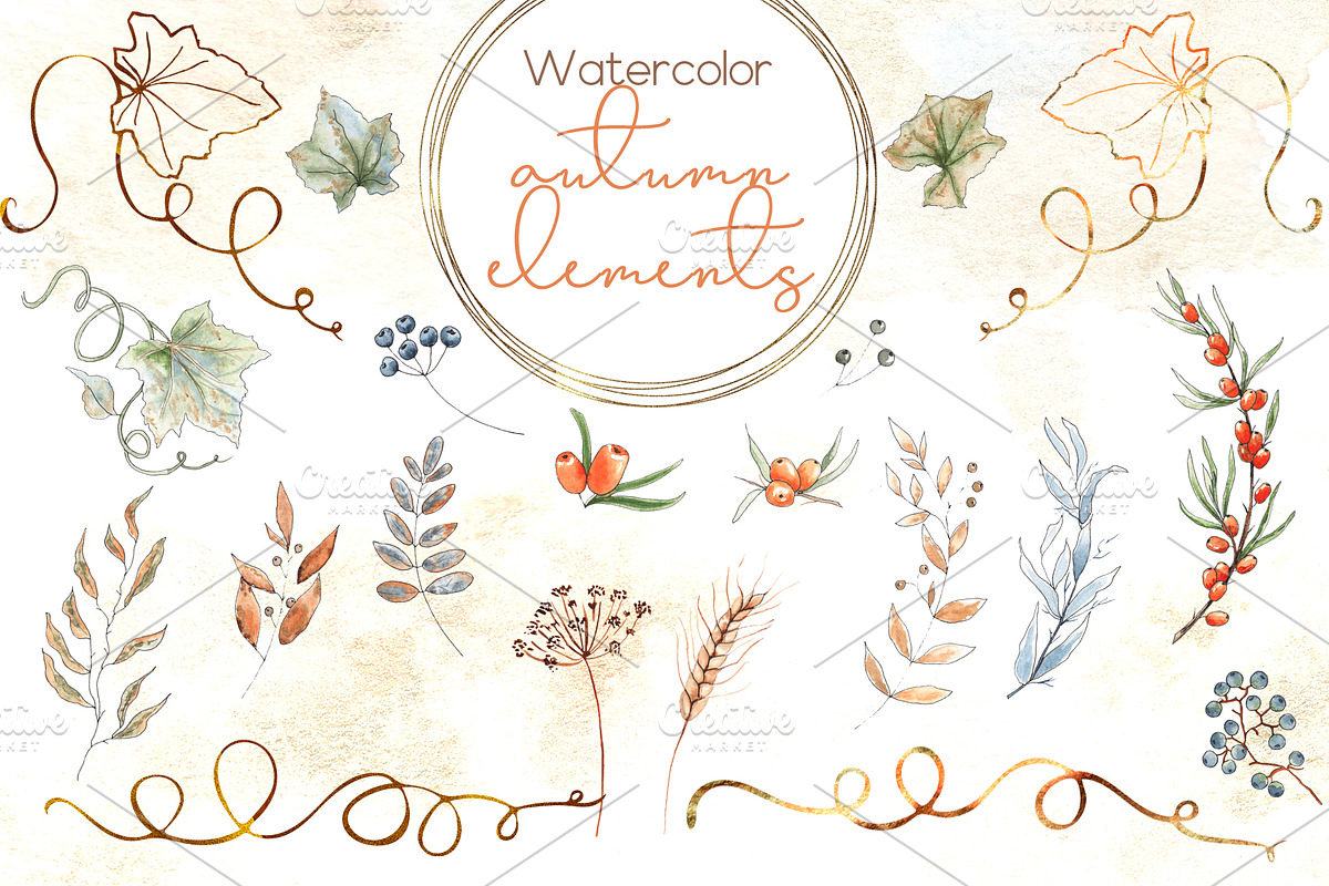 Pumpkins. Watercolor collection, an Object Graphic by Ana-Sakuta (Photo 14 of 17)