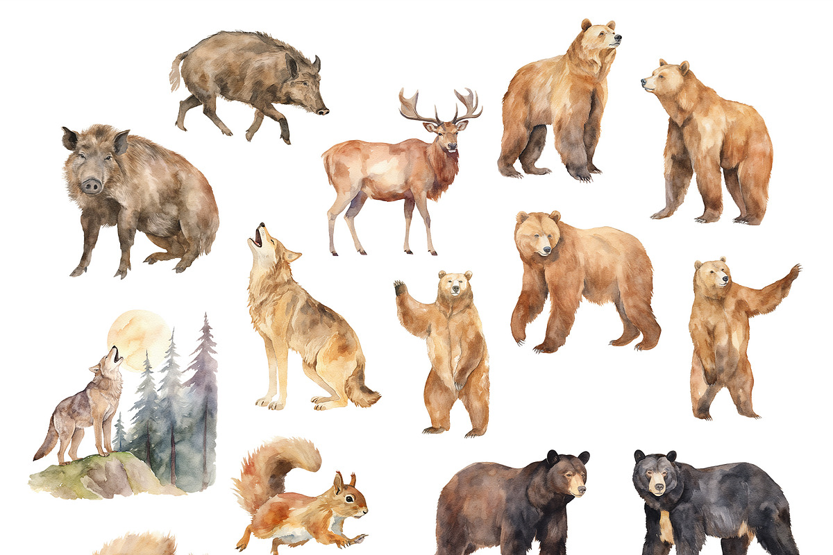 Woodland Bundle, an Animal Illustration by TheCuteShop (Photo 7 of 12)