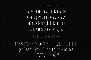 BLOVERLY Display Serif