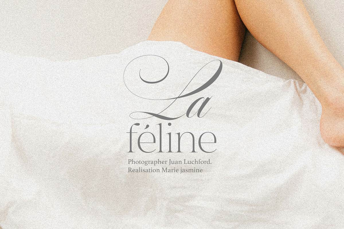 White Cold | Old And Elegant, a Script Font by Alcode (Photo 3 of 14)
