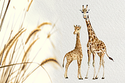 Watercolor Giraffes Clip Art Set, an Animal Illustration by Tati Bordiu (Thumbnail 3 of 4)