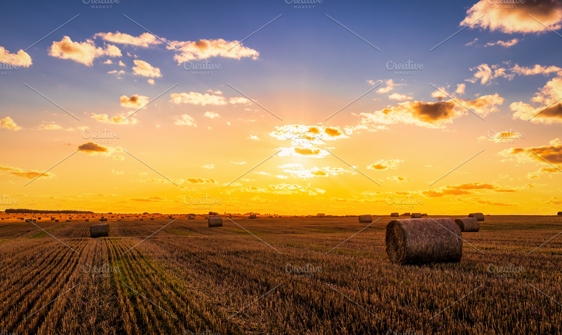 A field with haystacks at sunset., a Nature Photo by Eugene_Photo