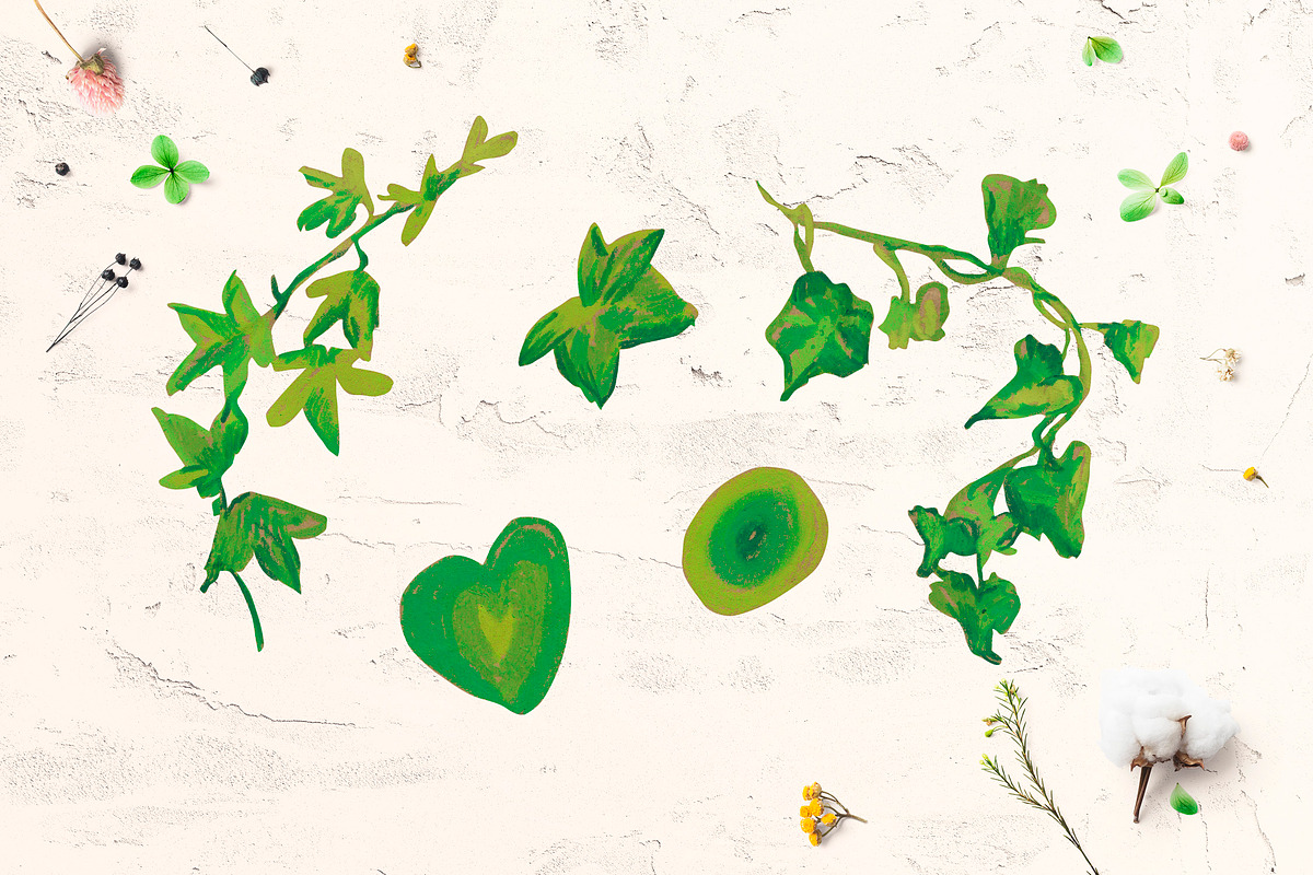 Crayon Ivy & Grape Vine Clipart, a Healthcare Illustration by Lucyinyourheart (Photo 2 of 5)