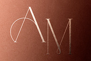 ABRAMO// Modern Font Duo, a Serif Font by PeachCreme (Thumbnail 6 of 16)