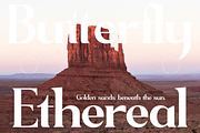 Sagfield Modern Serif Font, a Serif Font by AmorfaType (Thumbnail 7 of 10)