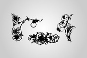 50 Ornamental Flourishes (Vector), an Object Graphic by BIOWORKZ (Thumbnail 5 of 5)