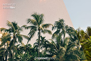 Instant Film - Lightroom Presets, a Plug-in Add-On by The Preset Factory Ltd. (Thumbnail 4 of 6)