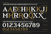 Cerberus - Serif font family, a Serif Font by Artistic & Unique (Thumbnail 2 of 15)