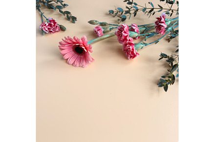 Pink Carnations Arranged on Table, a Background Photo by tilialucida