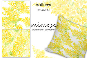 Mimosa. Watercolor Collection.