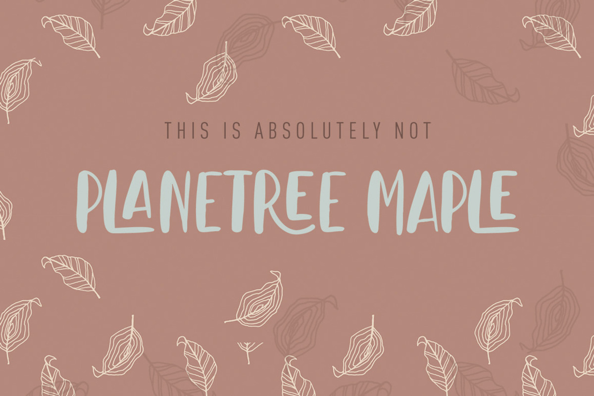 Leaves and Ground - SALE - 60% OFF, a Script Font by StereoType (Photo 10 of 10)