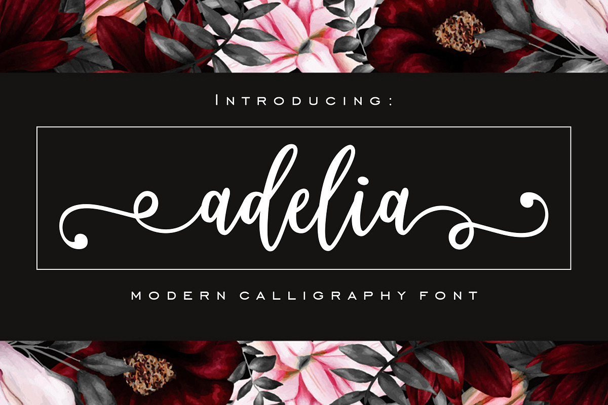 Adelia - Modern Calligraphy Font, a Script Font by Artkenza (Photo 1 of 6)