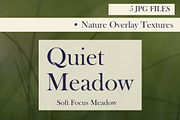 Quiet Meadow — Soft Focus Meadow, a Background Graphic by Aga Silva (Thumbnail 5 of 5)