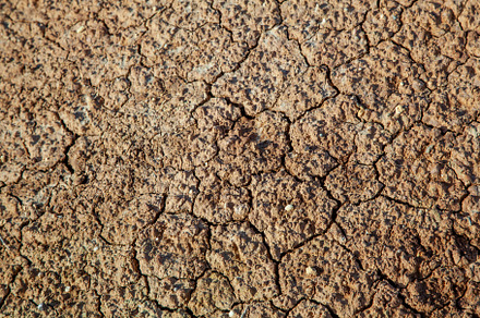 Dry cracked earth, shot from above.