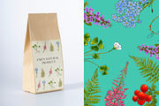 Flowers Illustration Bundle, a Decorative Illustration by Schumacher Shop (Thumbnail 5 of 18)