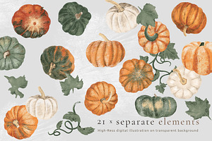 Pumpkins & Raccoons Graphic Set