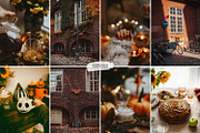 10 Crisp Leaves Lightroom Presets, a Preset Add-On by LucaTheme (Thumbnail 3 of 9)