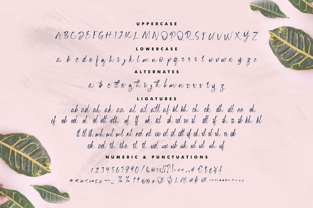 Cecillia - Script, a Script Font by Inspiratype (Photo 9 of 11)