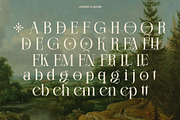Nord Theory Classic Serif Font, a Serif Font by Heinzel Std (Thumbnail 8 of 13)