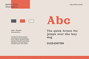 Hallen - Modern Classic Font, a Serif Font by Edignwn Type (Thumbnail 10 of 12)