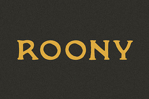 Roony I A Handmade Serif Font