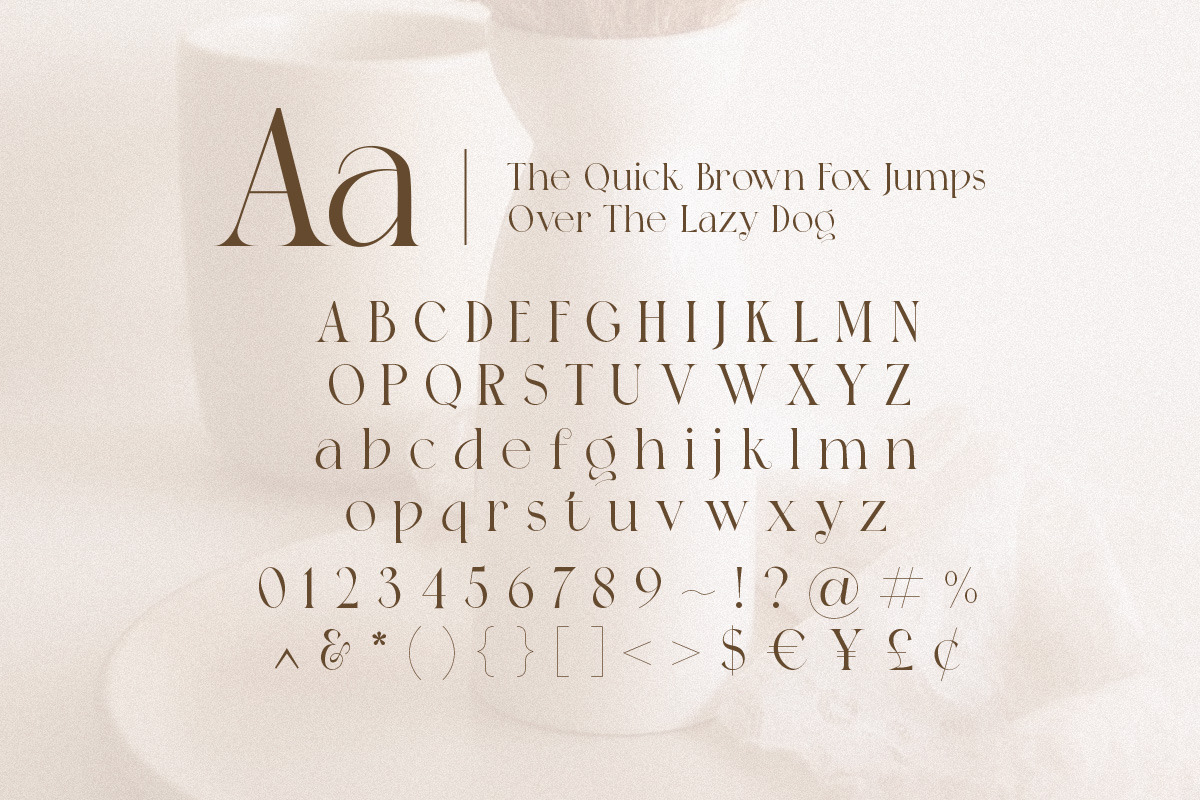 Sanke - Classic Charm, a Serif Font by Tammami (Photo 8 of 9)