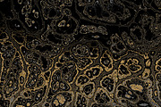 25 textures 64 megapixels, a Texture Graphic by tkdesign (Thumbnail 19 of 26)