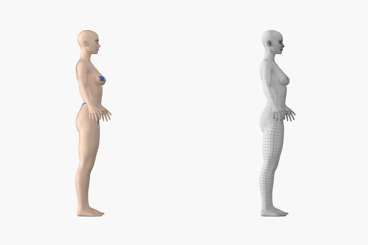 Natural Female 01 A-Pose Base Mesh, a Characters & Person 3D Model by VK Studio (Photo 5 of 26)