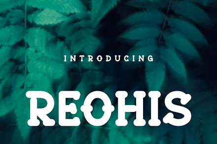 Reohis, a Serif Font by lelevien